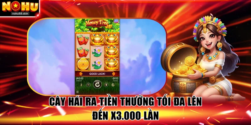 Cây Hái Ra Tiền thưởng tối đa lên đến x3.000 lần